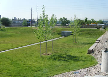 surface water management